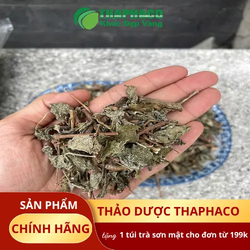 Quy trình sản xuất chè dây khô THAPHACO khép kín