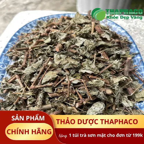Chè dây bị nấm mốc có thể sản sinh độc tố Mycotoxin gây hại