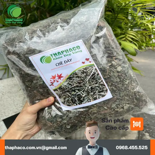 quy trình sản xuất chè dây THAPHACO, chè dây khô
