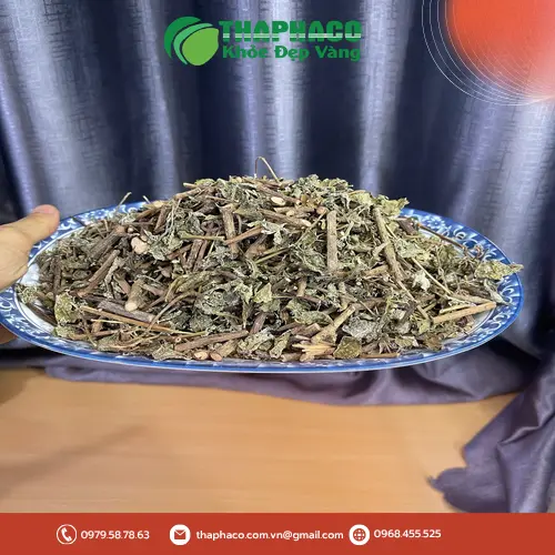 Cách pha chè dây sấy khô