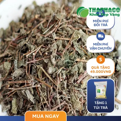 Dấu hiệu chè dây bị mốc, kém chất lượng
