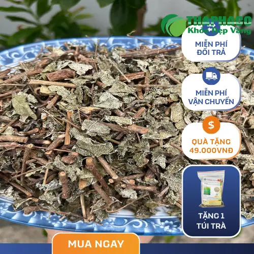 Liên hệ THAPHACO để mua chè dây sấy khô giá tốt
