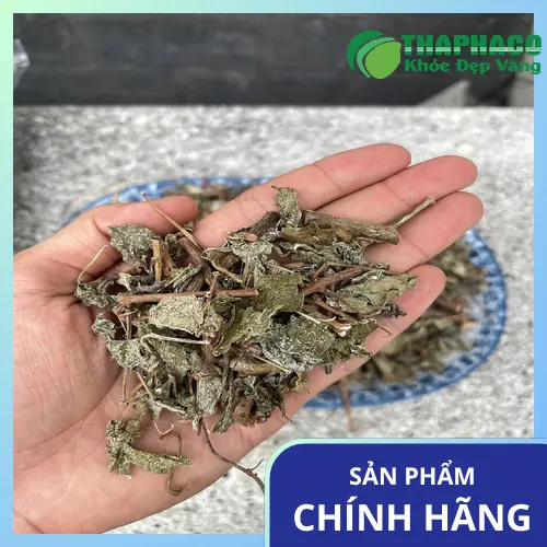 Sản phẩm chè dây sấy khô chất lượng từ THAPHACO