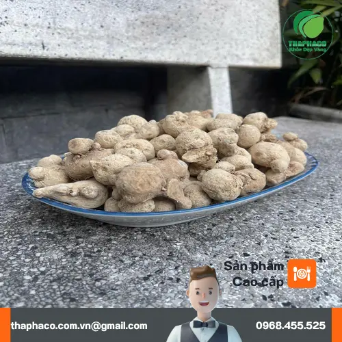 Thảo Dược Tấn Phát - Địa chỉ uy tín cung cấp củ tam thất nam tại TP.HCM