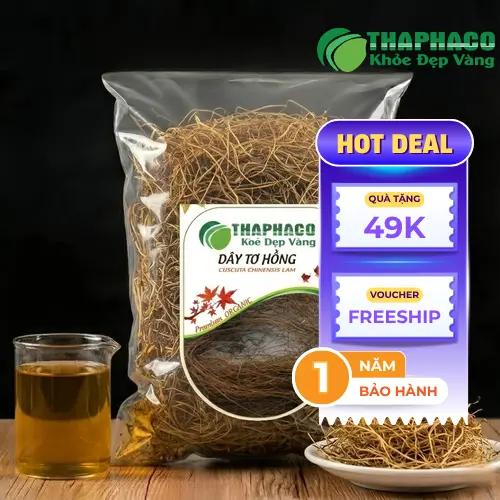 Dây tơ hồng khô Tấn Phát, thảo dược sạch, chất lượng cao đã sơ chế
