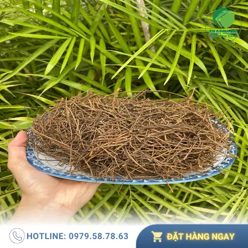 Dây tơ hồng khô tự nhiên tại Thảo Dược Tấn Phát