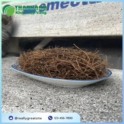 Dây tơ hồng sấy khô chất lượng cao từ Thảo Dược Tấn Phát