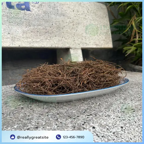 Dây tơ hồng đã được sấy khô, sẵn sàng sử dụng