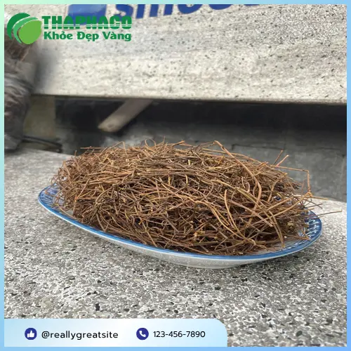 Dây tơ hồng khô Thảo Dược Tấn Phát được sấy khô, đảm bảo chất lượng