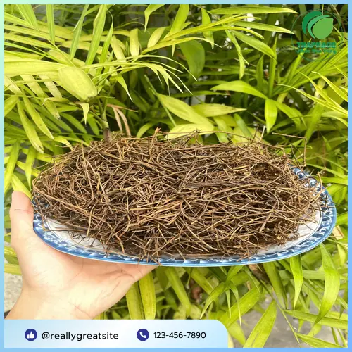 Dây tơ hồng chất lượng cao, sấy khô tự nhiên và đóng gói kỹ càng
