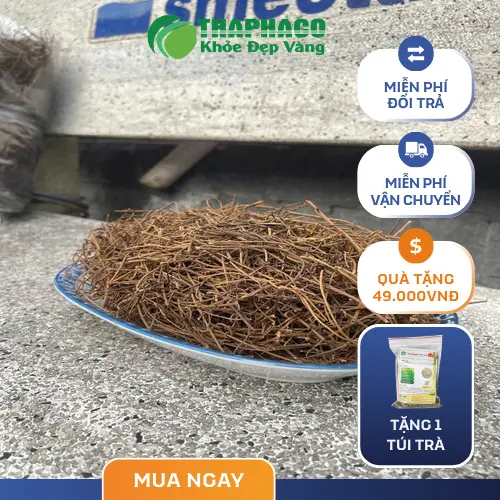 Dược sĩ Thảo Dược Tấn Phát tư vấn về dây tơ hồng