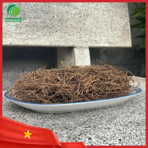 Dây tơ hồng khô được đóng gói cẩn thận tại Thảo Dược Tấn Phát
