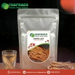Mua Đương Quy Ở Đâu Uy Tín Tại TPHCM? Tấn Phát Khuyên Dùng