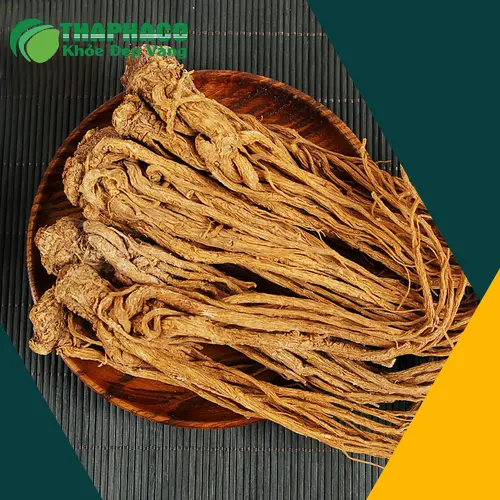Hình ảnh Đương quy khô chất lượng cao tại Thảo Dược Tấn Phát