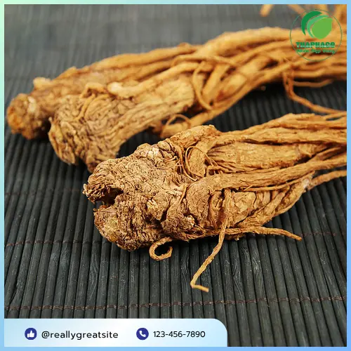 Thảo Dược Tấn Phát - Địa chỉ mua Đương quy uy tín, chất lượng tại TP.HCM