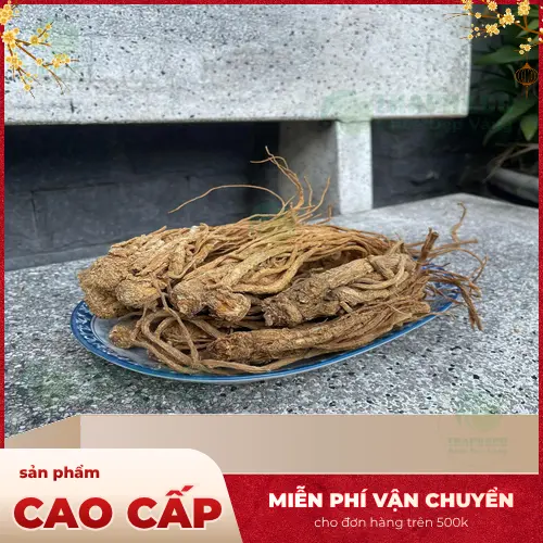 Đương quy cắt lát tiện lợi để sử dụng