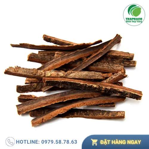 Quy trình sấy khô hậu phác tại Thảo Dược Tấn Phát