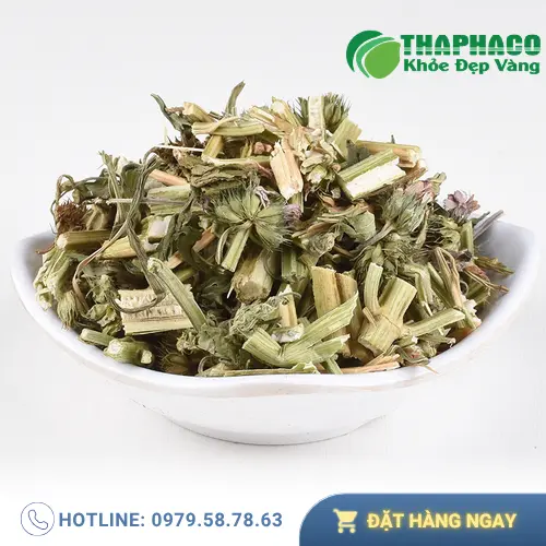 Hình ảnh ích mẫu sấy khô chất lượng tại Thảo Dược Tấn Phát, đảm bảo hàng sạch