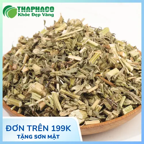 Quy trình sấy khô Ích Mẫu tại Thảo Dược Tấn Phát đảm bảo chất lượng và dược tính