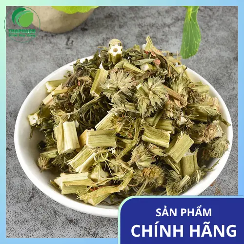Dược sĩ tư vấn cách dùng ích mẫu sấy khô hiệu quả và an toàn
