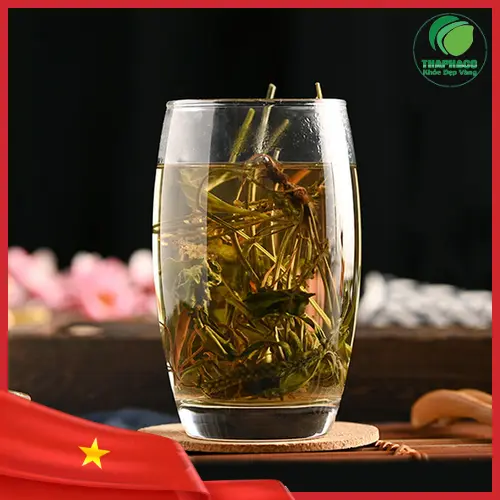 Mã đề sấy khô chất lượng từ Thảo Dược Tấn Phát