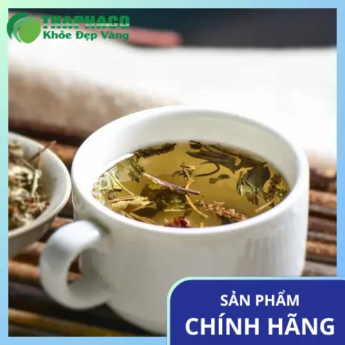 Quy trình sấy khô mã đề đảm bảo chất lượng tại Tấn Phát