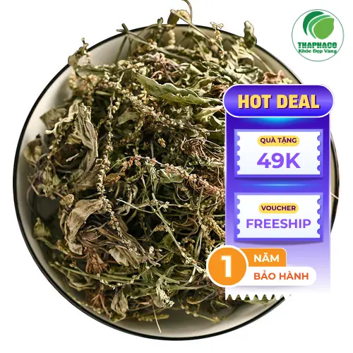 Thảo Dược Tấn Phát - Địa chỉ uy tín mua mã đề sấy khô tại TP.HCM