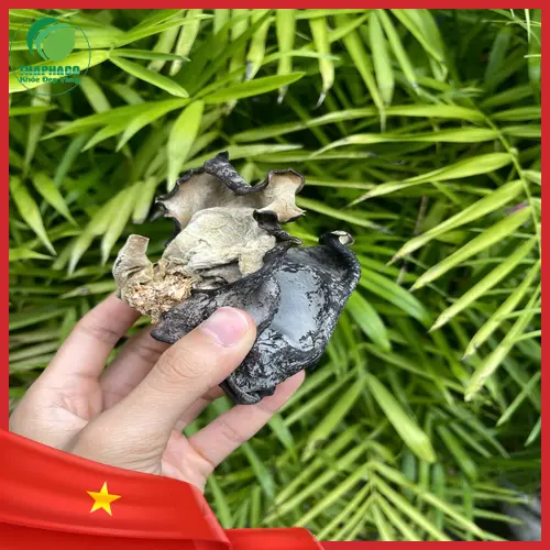 Mộc nhĩ khô có gây dị ứng không?