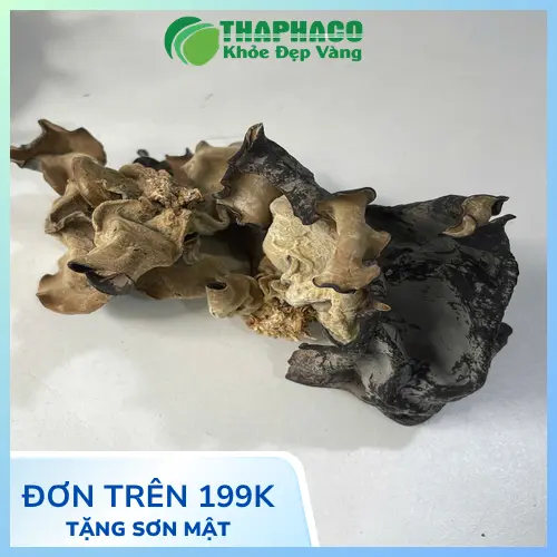 Công dụng hỗ trợ sức khỏe của mộc nhĩ