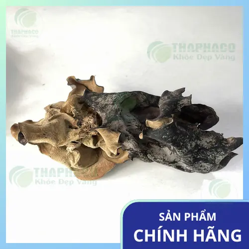 Công dụng hỗ trợ sức khỏe của mộc nhĩ