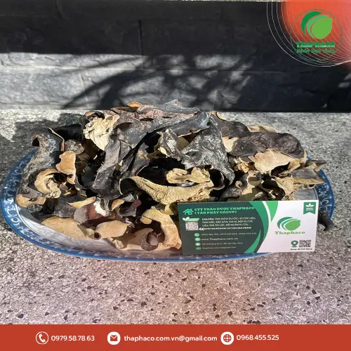 Mộc nhĩ khô chất lượng được đóng gói tại THAPHACO