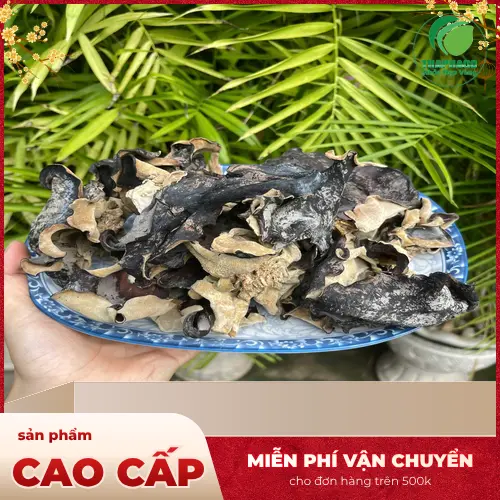 Mộc nhĩ bị ngộ độc do sơ chế sai cách
