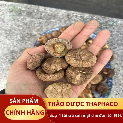 Cách chọn nấm đông cô tươi ngon