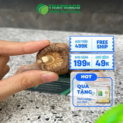 Cách sơ chế và chế biến nấm đông cô khô ngon