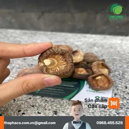 Cách chọn nấm đông cô khô chất lượng