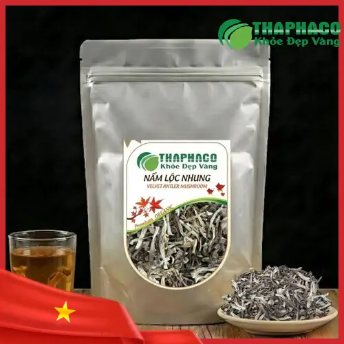 Hình ảnh nấm lộc nhung tươi, thể hiện đặc điểm hình thái độc đáo