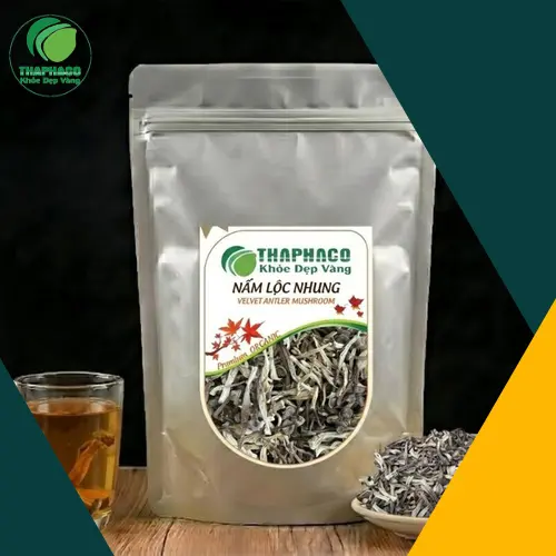 Nấm Lộc Nhung là gì, đặc điểm hình dáng bên ngoài