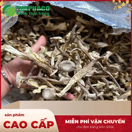 Công dụng Nấm Lộc Nhung hỗ trợ sức khỏe