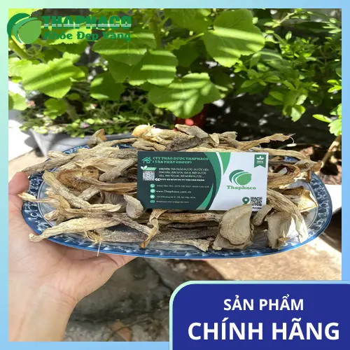 Rửa sạch nấm lộc nhung dưới vòi nước