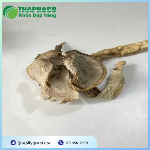 Cách phân biệt nấm lộc nhung khô chất lượng
