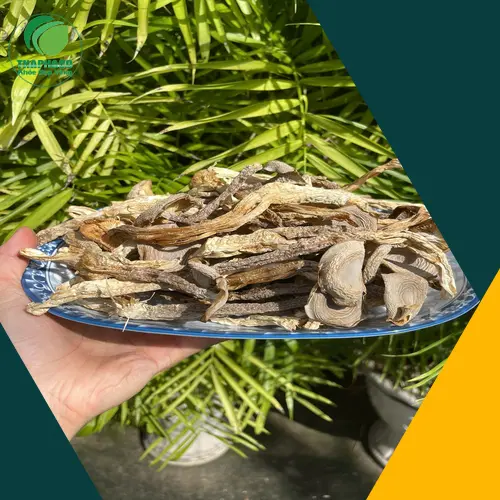 Nấm Lộc Nhung Sấy Khô 1kg THAPHACO