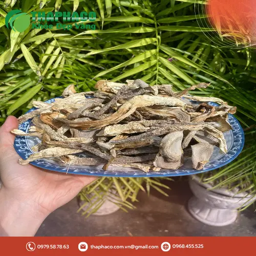Cách sử dụng nấm lộc nhung khô hiệu quả