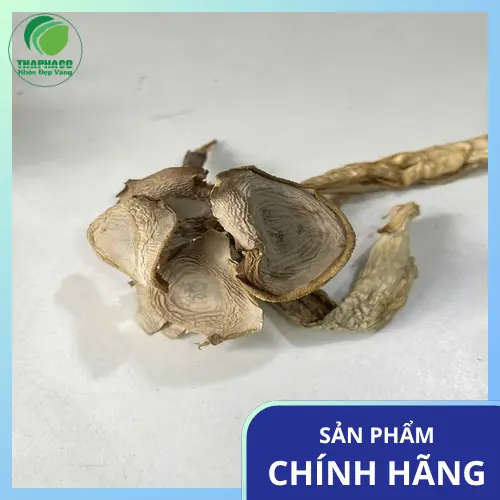 Nấm lộc nhung được dùng để hãm trà bồi bổ sức khỏe