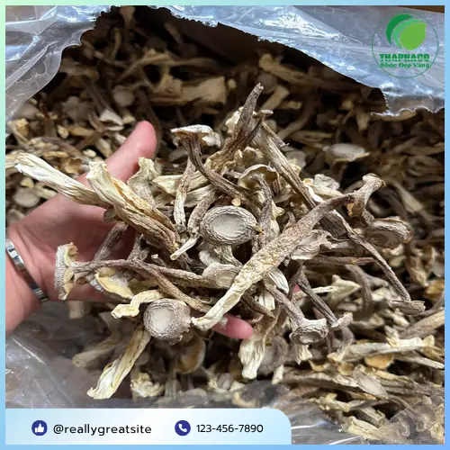 Bát cháo nấm lộc nhung hạt sen nóng hổi