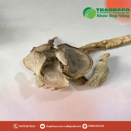 Giá Nấm Lộc Nhung sấy khô THAPHACO ưu đãi