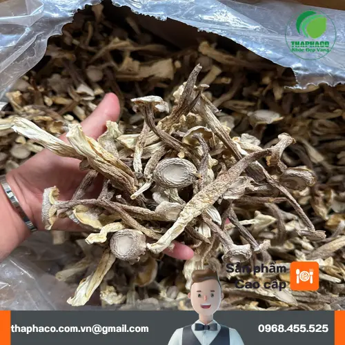 Món nấm lộc nhung xào sả ớt thơm ngon, bổ dưỡng cho bữa cơm chay