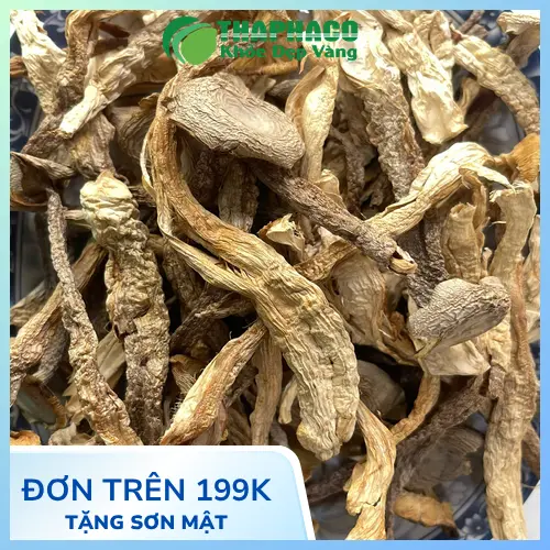 Các cách chế biến và sử dụng Nấm Lộc Nhung phổ biến