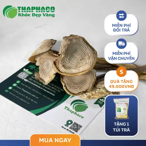 Giải đáp thắc mắc về Nấm Lộc Nhung THAPHACO