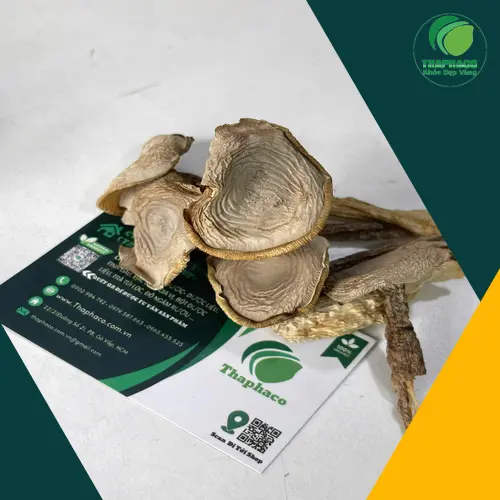 Gỏi nấm lộc nhung tươi mát chua ngọt