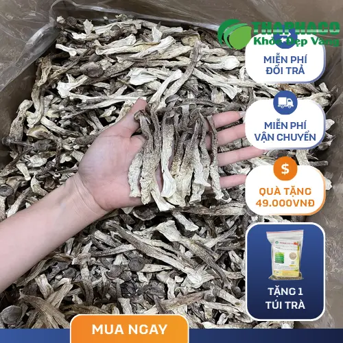 Nấm Lộc Nhung chất lượng và địa chỉ mua hàng uy tín